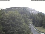 Archiv Foto Webcam Puchberg am Schneeberg - Bergblick Baumgartner 11:00