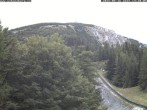 Archiv Foto Webcam Puchberg am Schneeberg - Bergblick Baumgartner 13:00