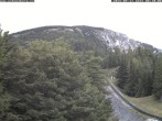 Archived image Webcam Puchberg am Schneeberg Baumgartner Station 07:00