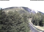 Archived image Webcam Puchberg am Schneeberg Baumgartner Station 08:00