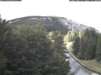 Archiv Foto Webcam Puchberg am Schneeberg - Bergblick Baumgartner 11:00