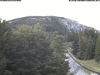 Archiv Foto Webcam Puchberg am Schneeberg - Bergblick Baumgartner 13:00