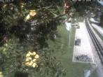 Archiv Foto Webcam Schneebergbahn - Galerie Voka 11:00