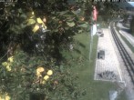 Archived image Webcam Train station Schneebergbahn - Gallery Voka 11:00