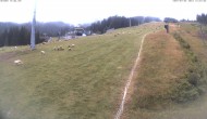 Archiv Foto Webcam Mittelstation der Tauern Seilbahn (1381m) 11:00
