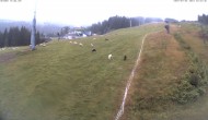 Archiv Foto Webcam Mittelstation der Tauern Seilbahn (1381m) 15:00