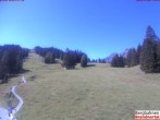 Archived image Webcam mountain station "Dorfbahn" 11:00