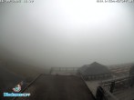 Archiv Foto Webcam Bergstation Diedamskopf 11:00