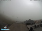 Archiv Foto Webcam Bergstation Diedamskopf 15:00
