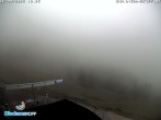 Archiv Foto Webcam Diedamskopf: Wedelstube 09:00