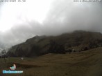 Archiv Foto Webcam Diedamskopf: Breitenalpe 15:00