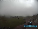 Archiv Foto Webcam Alpe Schetteregg - Kinderland 11:00