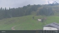 Archiv Foto Webcam Laterns - Bergstation Gapfohl 14:00