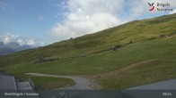 Archiv Foto Webcam Brigels: Alp Dado 08:00