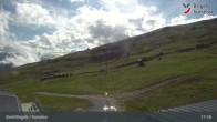 Archiv Foto Webcam Brigels: Alp Dado 16:00