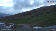 Archiv Foto Webcam Brigels: Alp Dado 20:00
