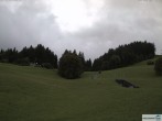 Archiv Foto Webcam Wallegg 09:00