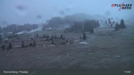 Archived image Webcam Flumserberg: View Prodalp 16:00