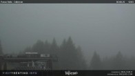 Archiv Foto Webcam Colbricon 11:00