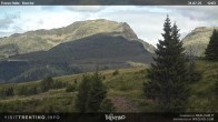 Archived image Webcam Bocche, Cima di montagna 11:00