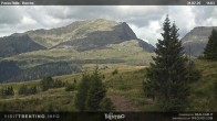 Archived image Webcam Bocche, Cima di montagna 13:00