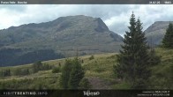 Archived image Webcam Bocche, Cima di montagna 17:00
