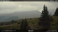 Archiv Foto Webcam Cima Bocche 11:00