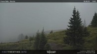 Archiv Foto Webcam Cima Bocche 11:00
