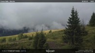 Archiv Foto Webcam Cima Bocche 15:00