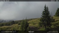 Archiv Foto Webcam Cima Bocche 17:00