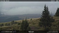 Archiv Foto Webcam Cima Bocche 17:00