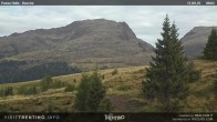 Archived image Webcam Bocche, Cima di montagna 07:00