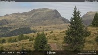 Archived image Webcam Bocche, Cima di montagna 11:00