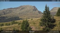 Archived image Webcam Bocche, Cima di montagna 13:00