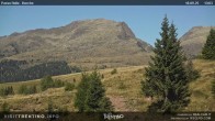 Archived image Webcam Bocche, Cima di montagna 12:00