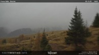 Archiv Foto Webcam Cima Bocche 15:00