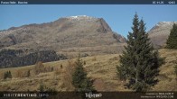 Archived image Webcam Bocche, Cima di montagna 11:00