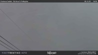 Archiv Foto Webcam Fassatal: San Pellegrino Pass 08:00