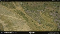 Archived image Webcam Carosello delle Malghe 11:00