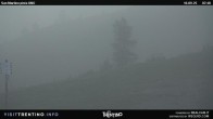 Archiv Foto Webcam Piste Uno am Tognola, Carosello delle Malghe 07:00