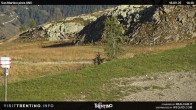 Archived image Webcam Carosello delle Malghe, Mt Tognola 17:00