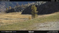 Archived image Webcam Carosello delle Malghe, Mt Tognola 11:00