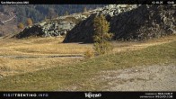 Archived image Webcam Carosello delle Malghe, Mt Tognola 13:00