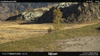 Archived image Webcam Carosello delle Malghe, Mt Tognola 15:00