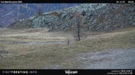 Archived image Webcam Carosello delle Malghe, Mt Tognola 02:00