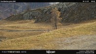 Archived image Webcam Carosello delle Malghe, Mt Tognola 05:00