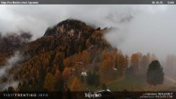 Archived image Webcam Vigo di Fassa - Cigolade 11:00