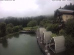 Archiv Foto Webcam Drachselsried: Hotel Riedlberg 11:00