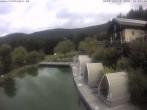 Archiv Foto Webcam Drachselsried: Hotel Riedlberg 09:00