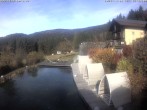 Archiv Foto Webcam Drachselsried: Hotel Riedlberg 11:00
